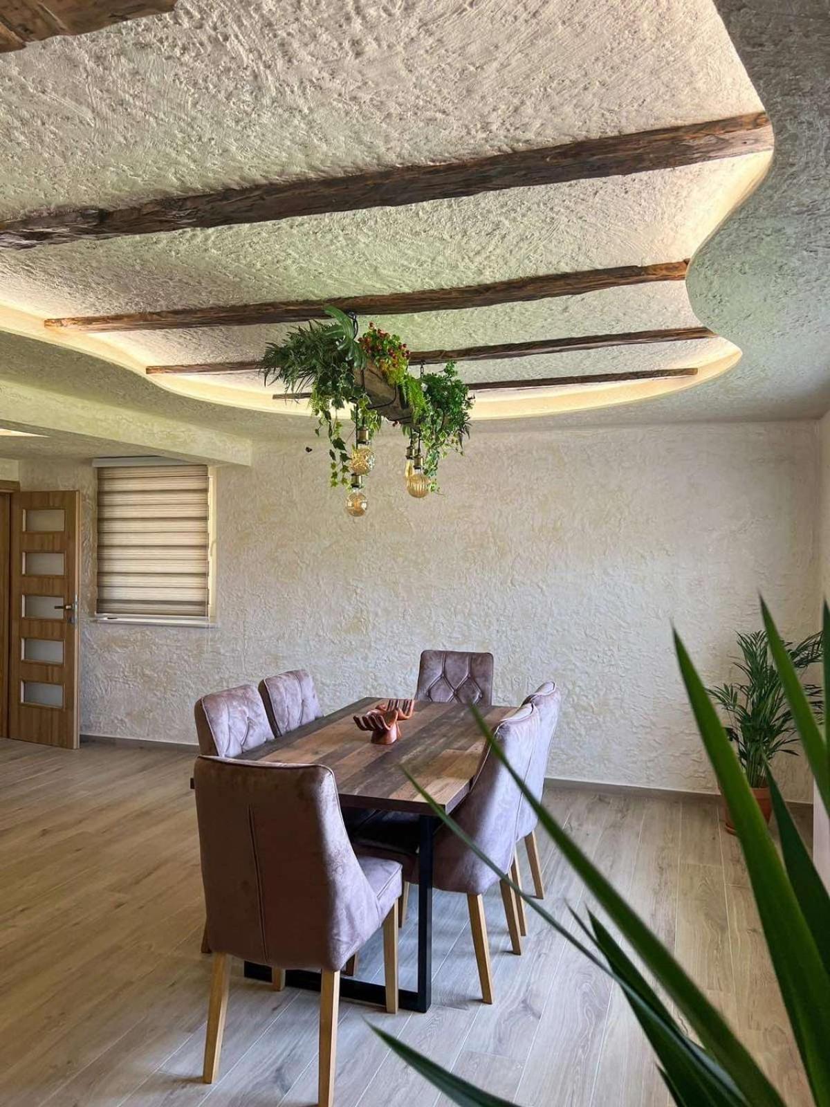 Motel Pizzeria Actros Nova Topola Εξωτερικό φωτογραφία